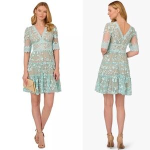 NWT Adrianna Papell V-Neck Lace Embroidered Elegant Dress Sz 4